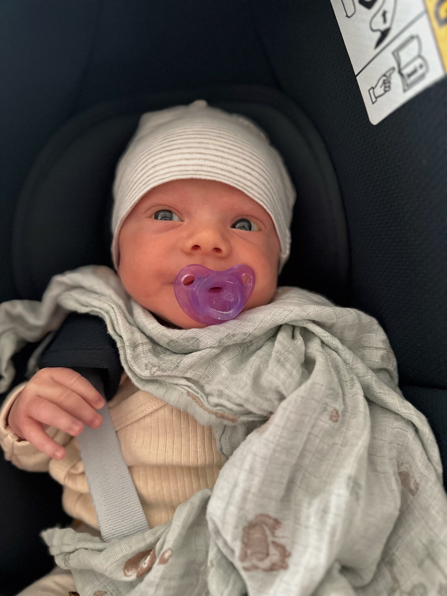 Maris-Heberer-Babies